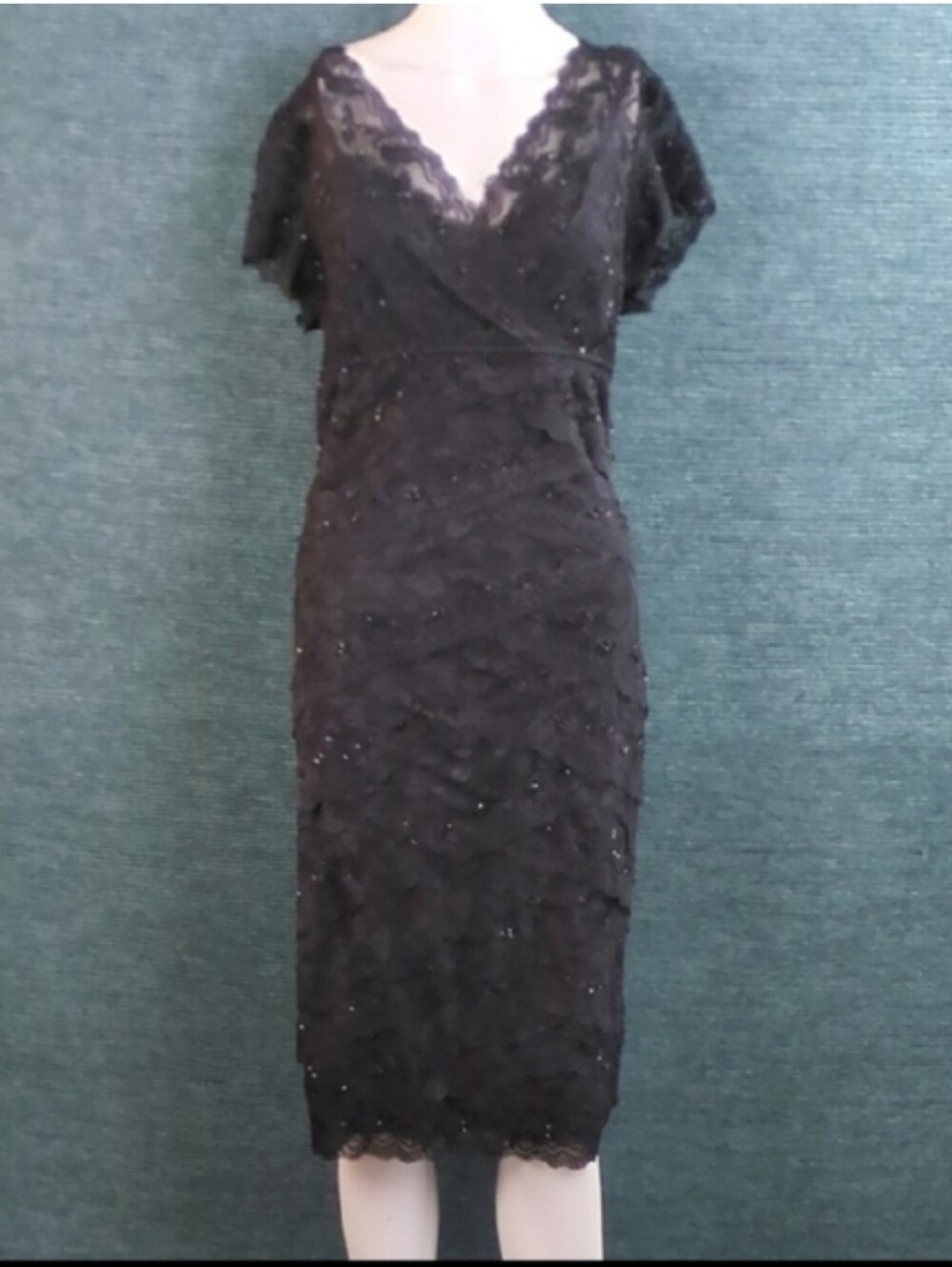 For Kitty Rescue! Blu Sage Tiered Lace Beaded Dress